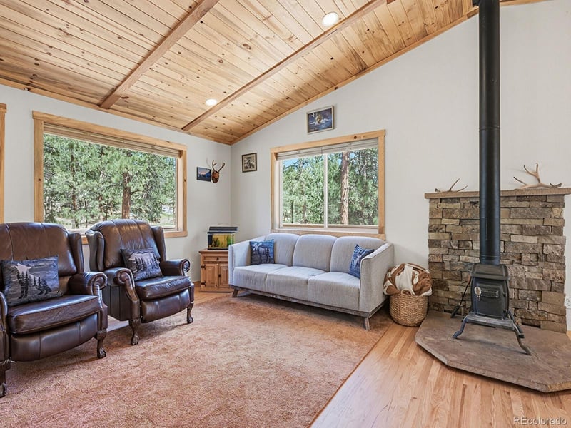 234 Impala Trl, Bailey, CO 80421