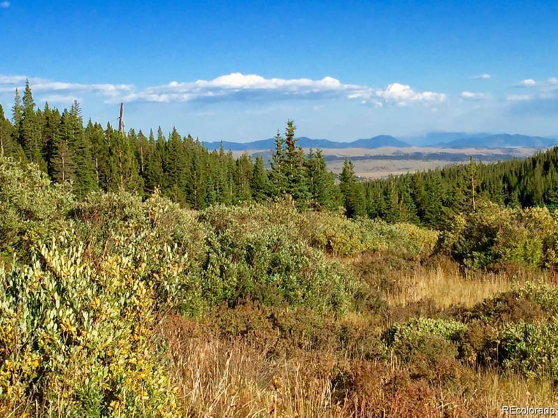 1180 Zebulon St, Alma, CO 80420