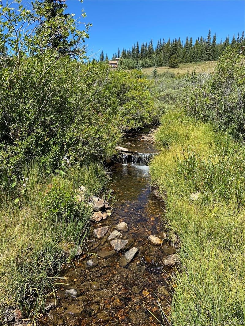 1180 Zebulon St, Alma, CO 80420
