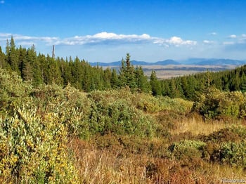 1180 Zebulon St, Alma, CO 80420