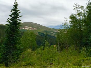 1180 Zebulon St, Alma, CO 80420