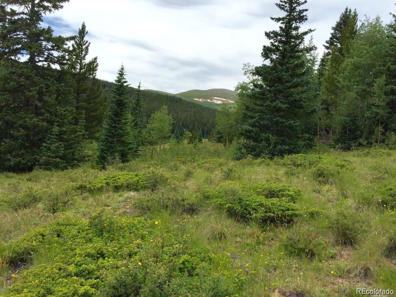 1180 Zebulon St, Alma, CO 80420
