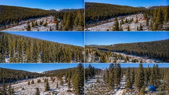 1180 Zebulon St, Alma, CO 80420
