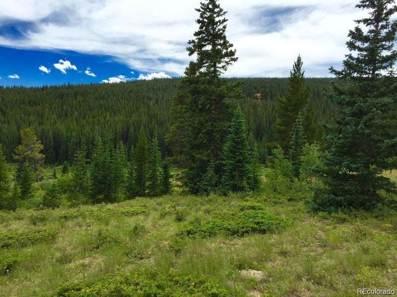 1180 Zebulon St, Alma, CO 80420