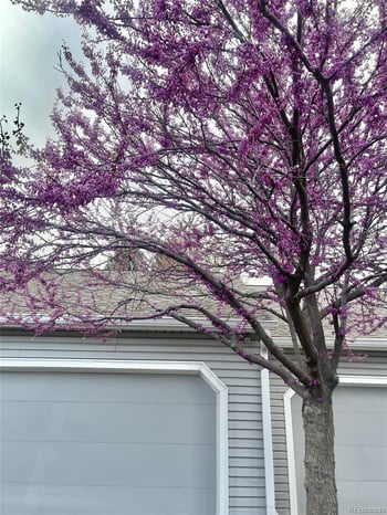 13703 Marina Dr #A, Aurora, CO 80014