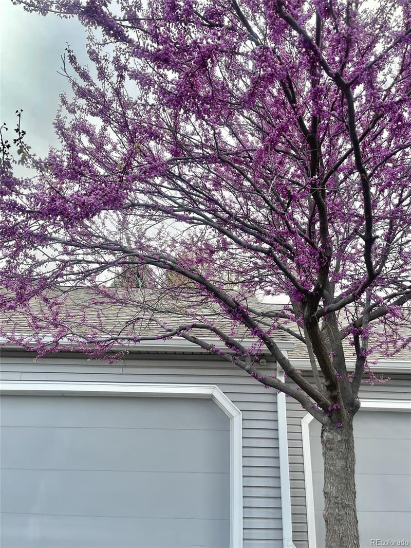 13703 Marina Dr #A, Aurora, CO 80014