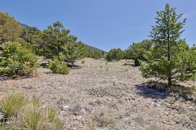 4319 Rambling Way, Crestone, CO 81131