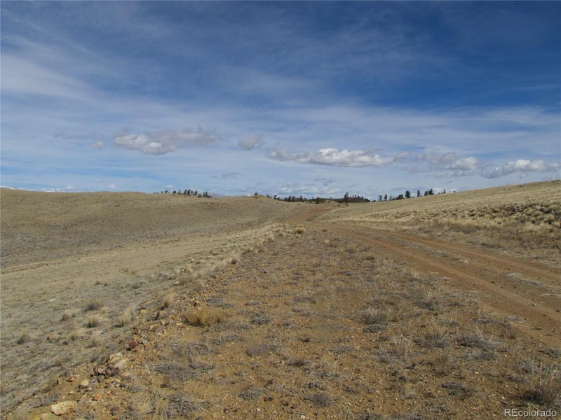 Lot 692 Atoka Rd, Hartsel, CO 80449