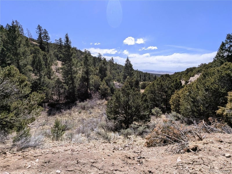 1593 Jaidi Rd, Fort Garland, CO 81133