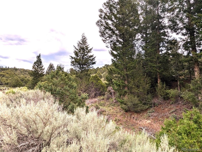 1593 Jaidi Rd, Fort Garland, CO 81133