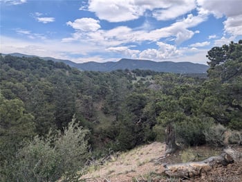 Lot 2387 Pina Rd, Fort Garland, CO 81133