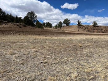 55 Jay Ct, Hartsel, CO 80449