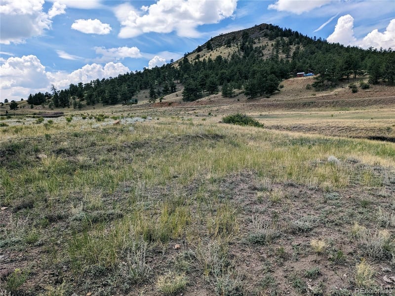 55 Jay Ct, Hartsel, CO 80449