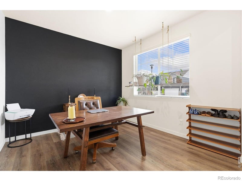 3758 Catmint St, Wellington, CO 80549