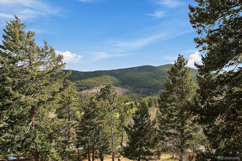 81 Raccoon Cir, Evergreen, CO 80439