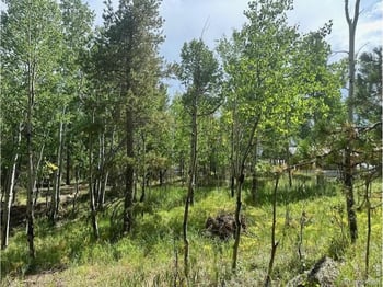 293 Aspen Cir, Black Hawk, CO 80422