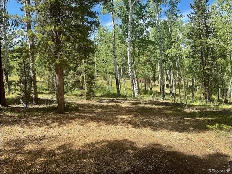 293 Aspen Cir, Black Hawk, CO 80422