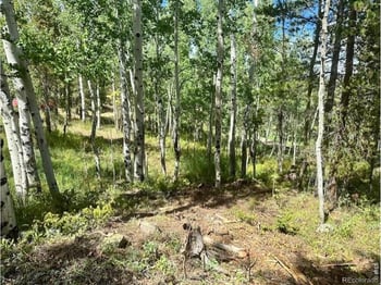 293 Aspen Cir, Black Hawk, CO 80422