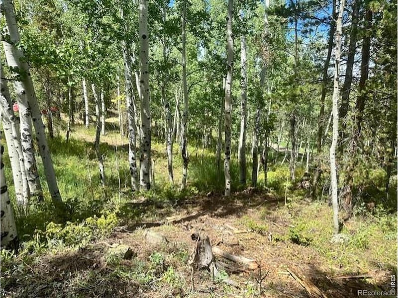 293 Aspen Cir, Black Hawk, CO 80422