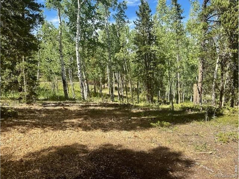 293 Aspen Cir, Black Hawk, CO 80422