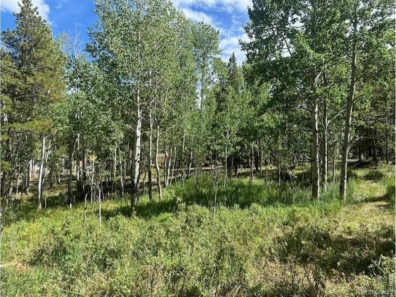 293 Aspen Cir, Black Hawk, CO 80422