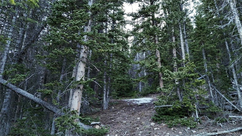 331 Kimmes Ln, Breckenridge, CO 80424