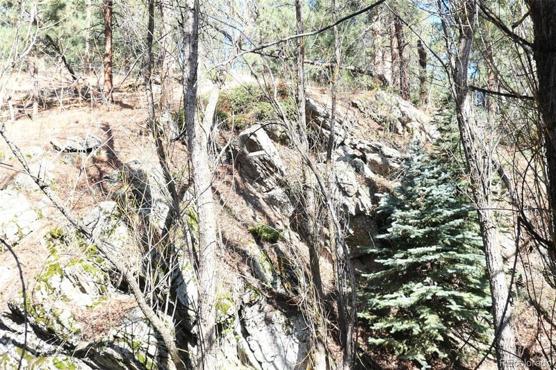 5201 Highway 73 , Evergreen, CO 80439