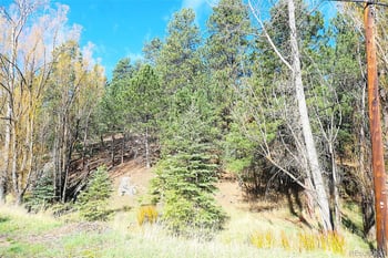 5201 Highway 73 , Evergreen, CO 80439