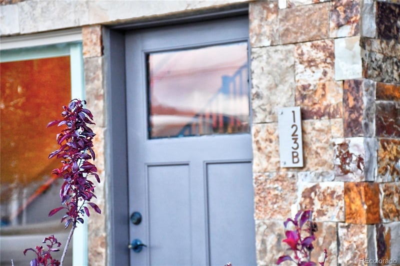 123 Halley's Ave #B, Poncha Springs, CO 81242