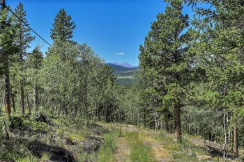 Block 9 Lot 4 Hughesville Rd, Black Hawk, CO 80422