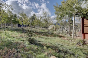 255 Saddlestring Rd, Bailey, CO 80421