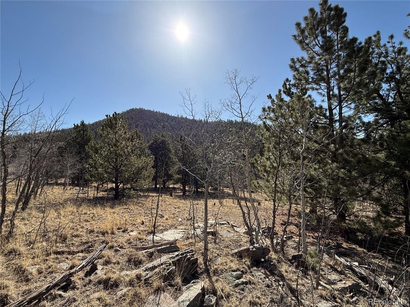 234 Warclub Ct, Jefferson, CO 80456