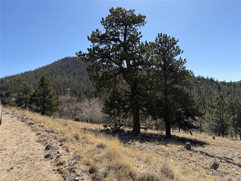 234 Warclub Ct, Jefferson, CO 80456