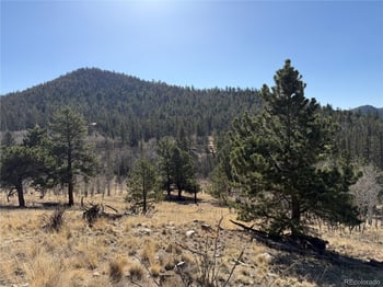 234 Warclub Ct, Jefferson, CO 80456