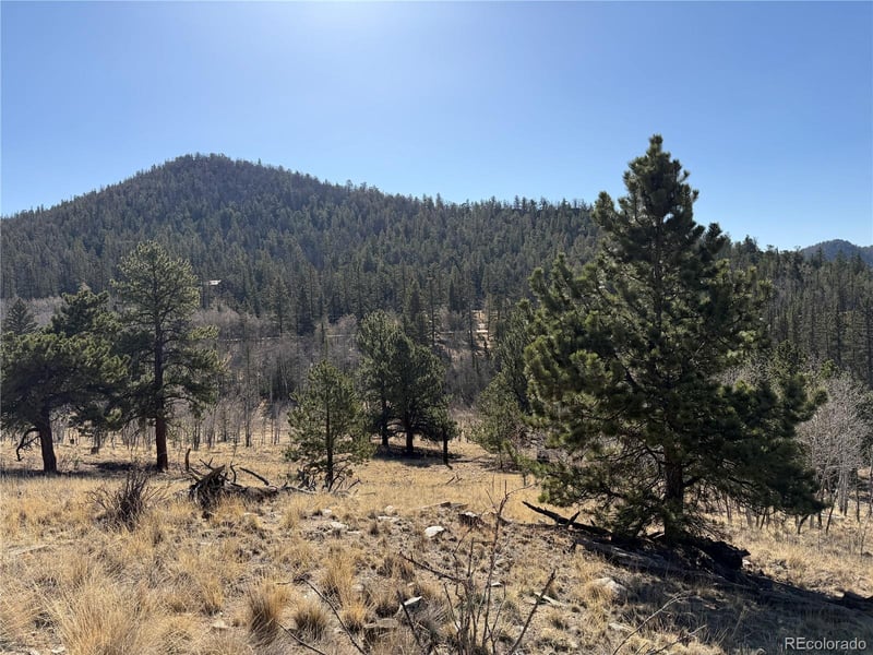 234 Warclub Ct, Jefferson, CO 80456