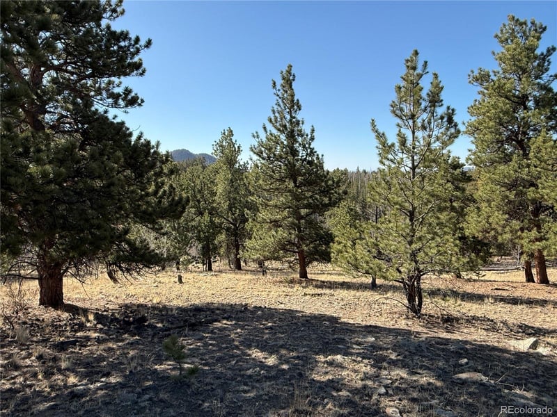 234 Warclub Ct, Jefferson, CO 80456