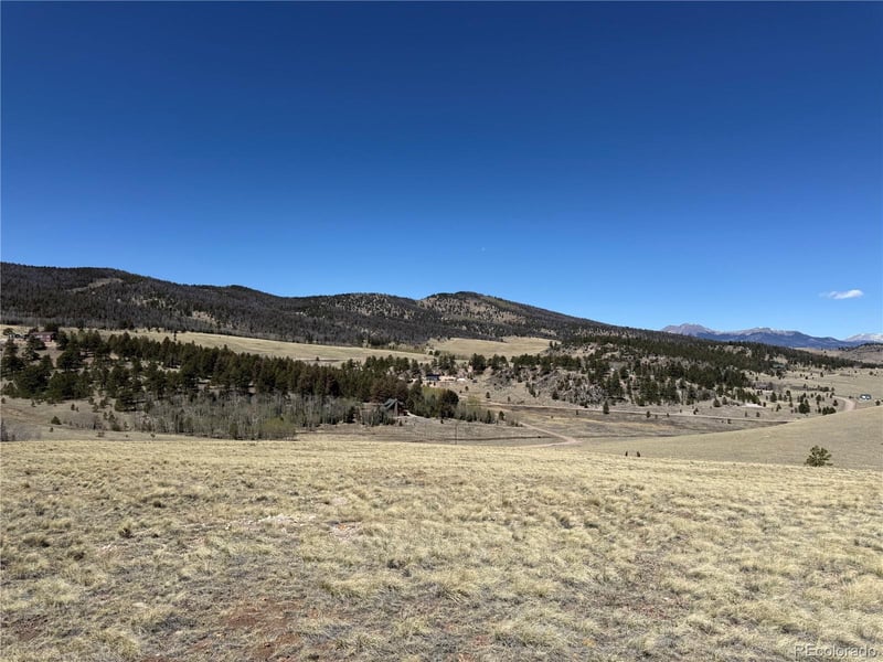 197 Baler Ct, Hartsel, CO 80449