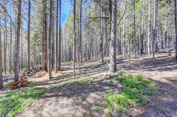 Lot 172 Lower Forest Rd, Idaho Springs, CO 80452