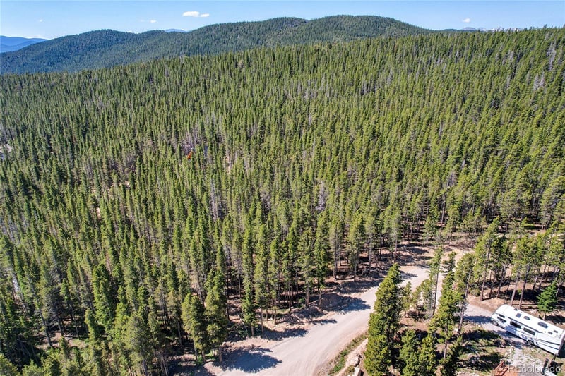 Lot 172 Lower Forest Rd, Idaho Springs, CO 80452