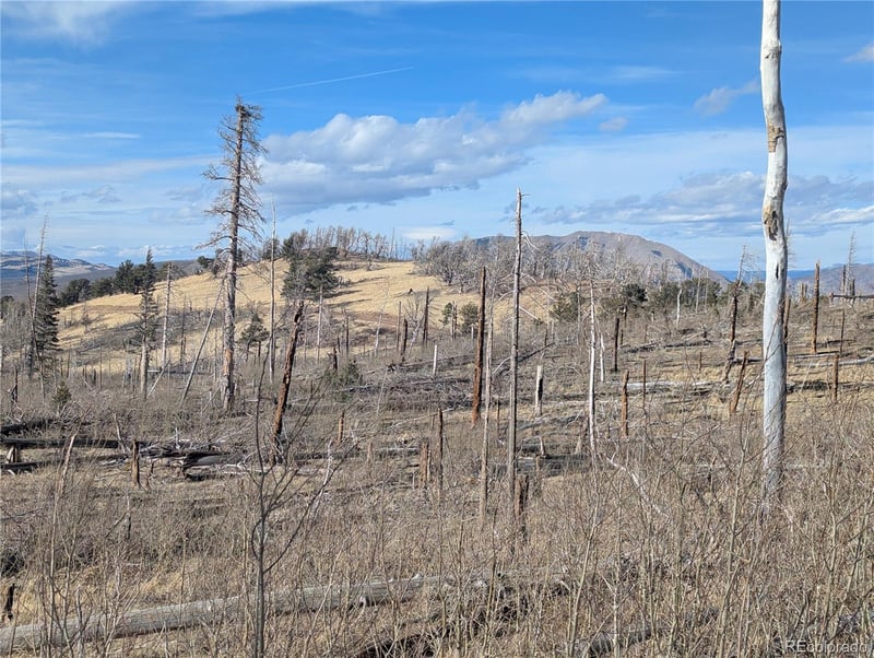 2553 Fine Pl, Fort Garland, CO 81133