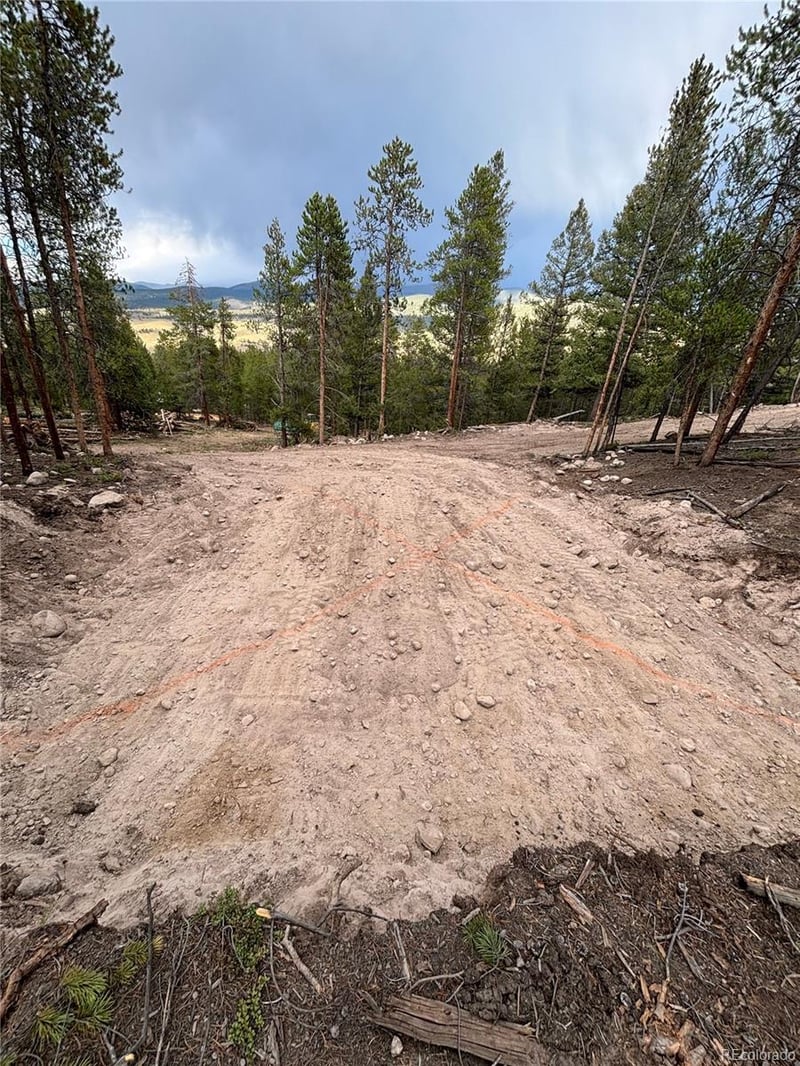 680 Edward East Hill Dr, Twin Lakes, CO 81251
