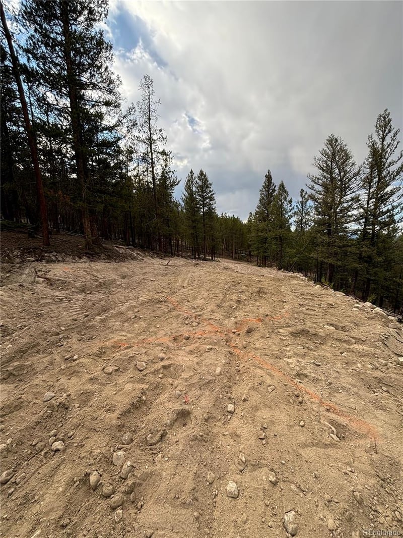 680 Edward East Hill Dr, Twin Lakes, CO 81251