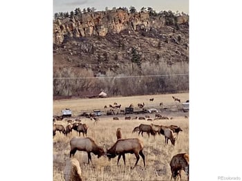 7239 County Road 24, Loveland, CO 80538