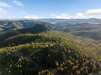 714 Woodrock Way, Divide, CO 80814