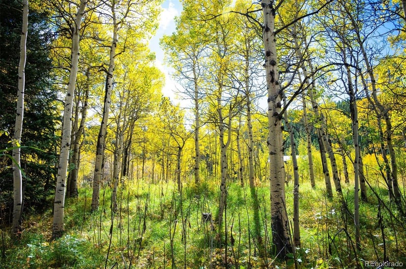 531 Caribou Rd, Nederland, CO 80466