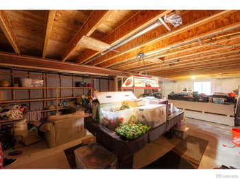 84 Pike Ln, Severance, CO 80550