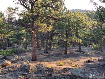 12190 Highway 7 , Allenspark, CO 80510