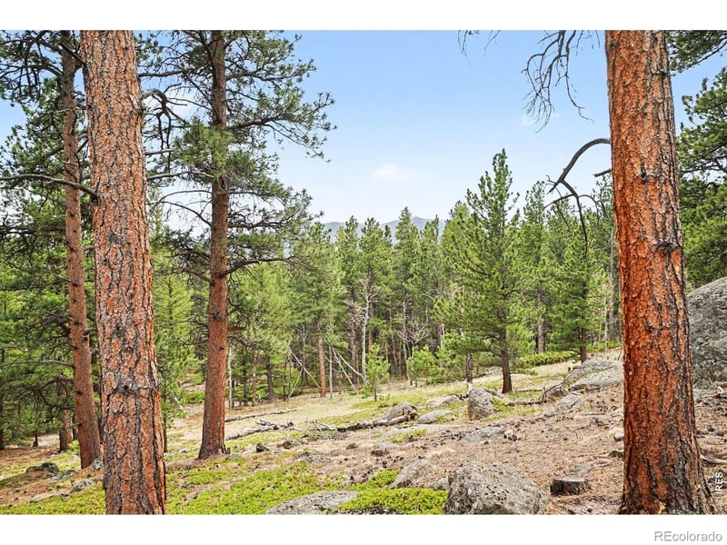 12190 Highway 7 , Allenspark, CO 80510