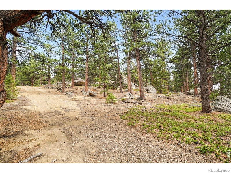 12190 Highway 7 , Allenspark, CO 80510