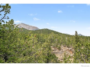 12190 Highway 7 , Allenspark, CO 80510